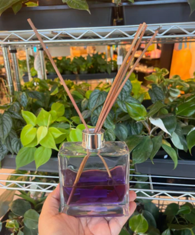 A scent diffuser with purple liquid being held in front of a row of plants