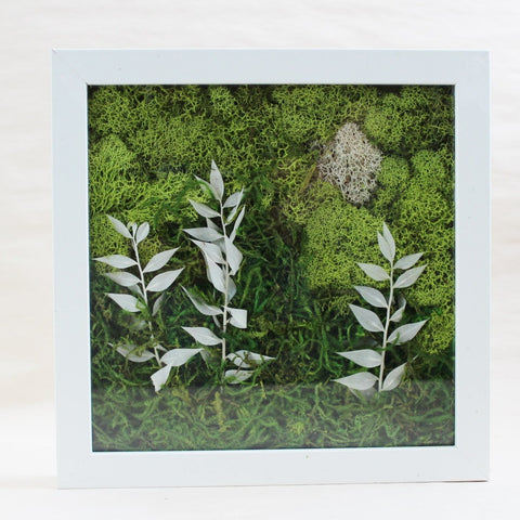 Moss art with leaves in a white frame