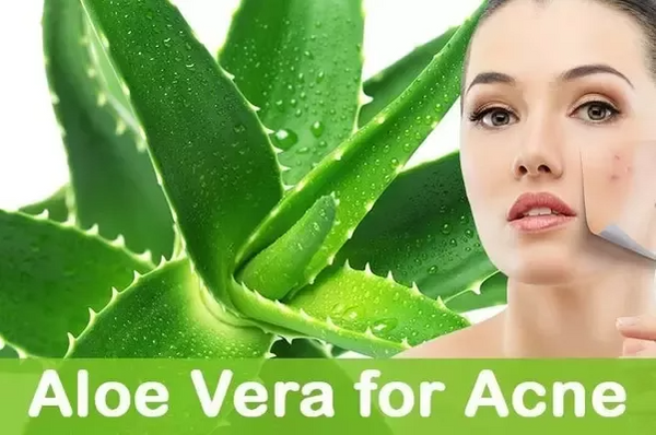 What is the effect of aloe vera in the acne scar treatment ?