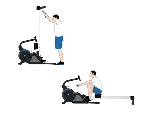 Impulse Fitness Ski and Row Training Machine