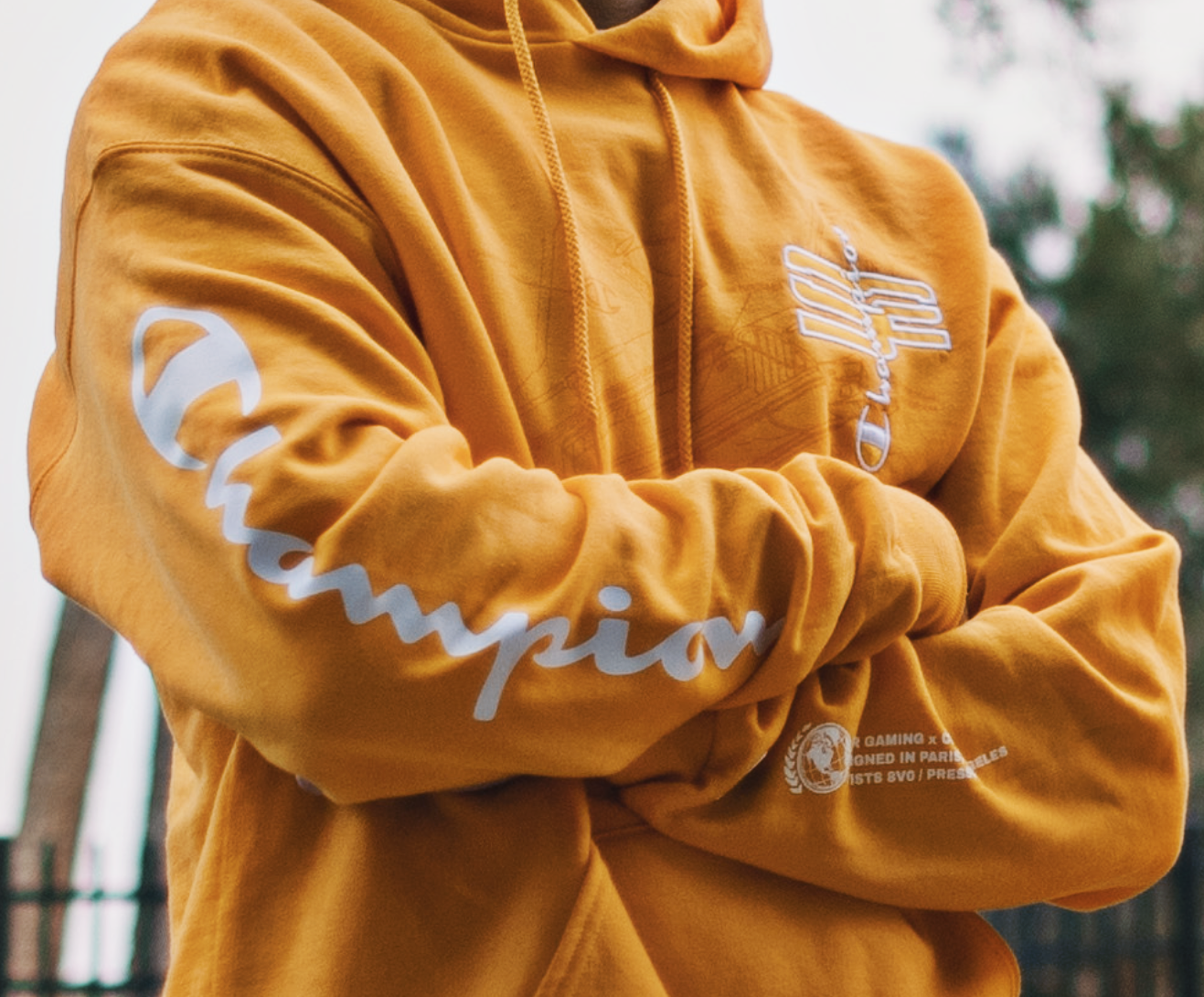 champion soar hoodie