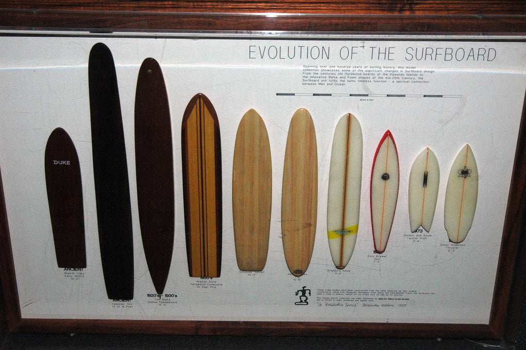 Surfing's Evolution | Living the Sweet Life – Nectar