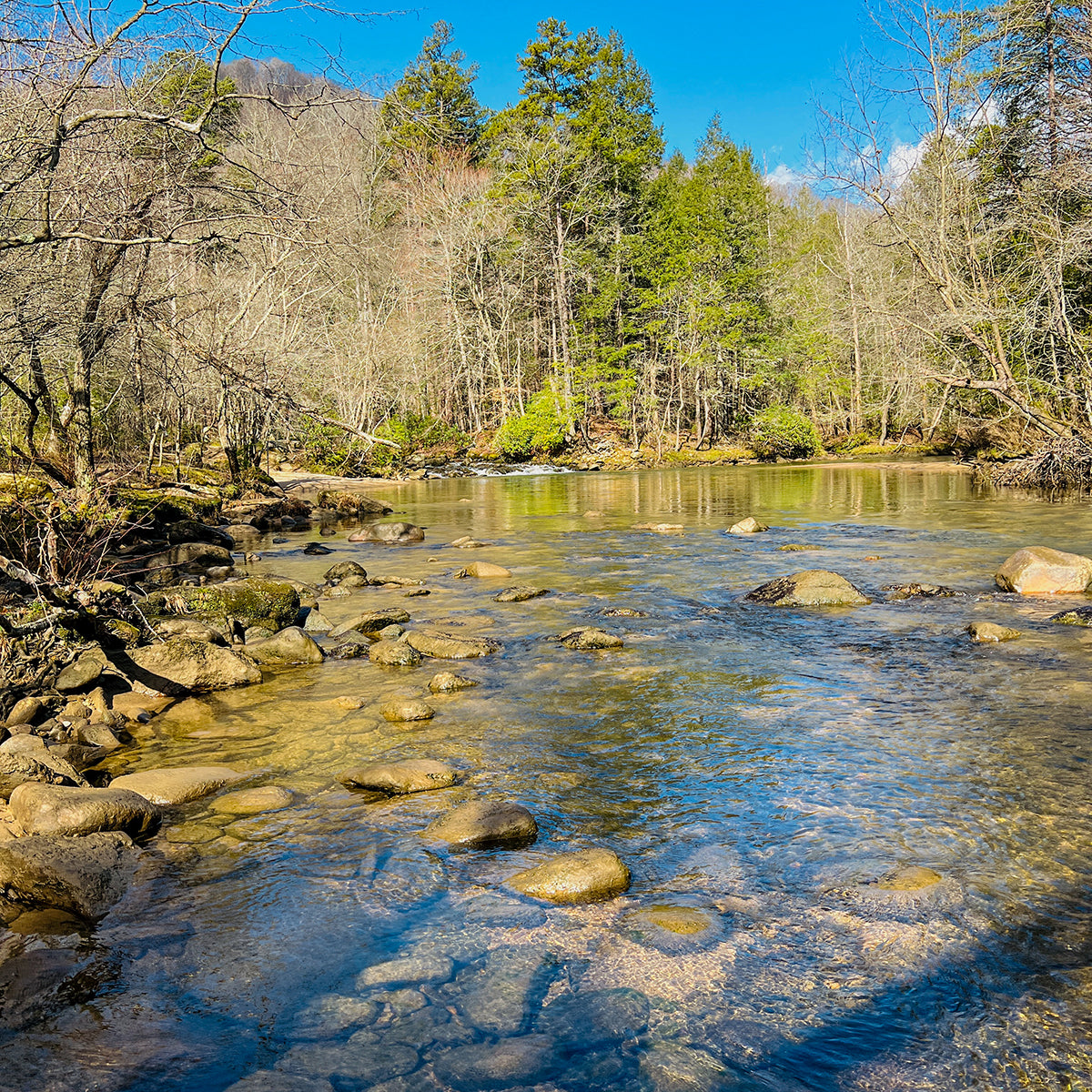 The Green River in North Carolina