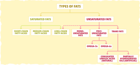 Types of fats