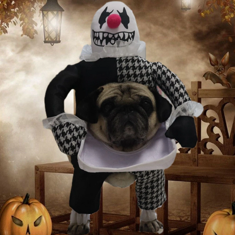 dog-halloween-costume