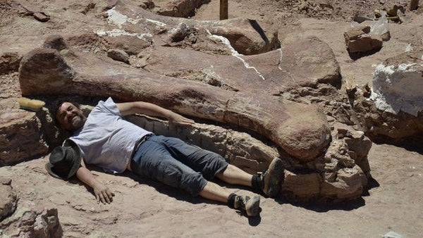Est ce dur d'être paléontologue ?