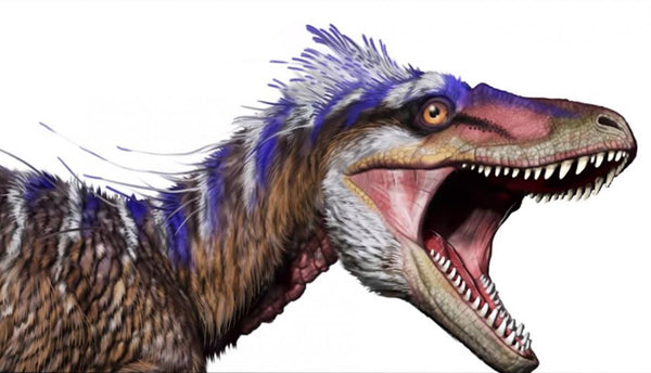 L'ancêtre du T.rex
