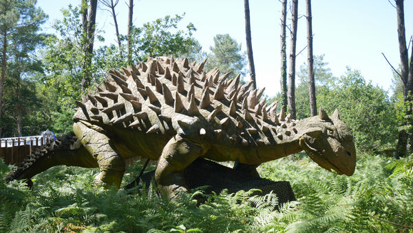 DINOSAURES PARC : A la découverte des dinosaures ...