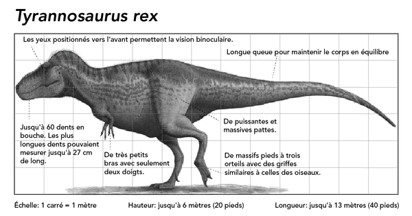 Description du T-Rex
