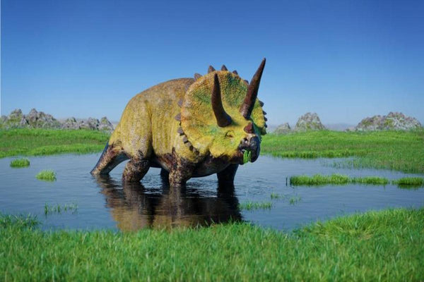 Dans quel milieu vivait le tricératops