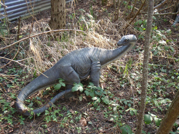TROPICALAND : La jungle aux dinosaures