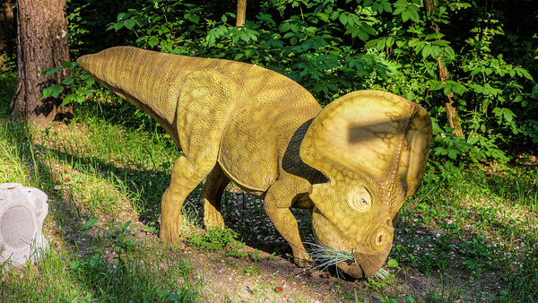 DINOPEDIA PARC : Traversez les temps oubliés des dinosaures