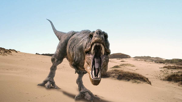 Ou vivait le T.rex?