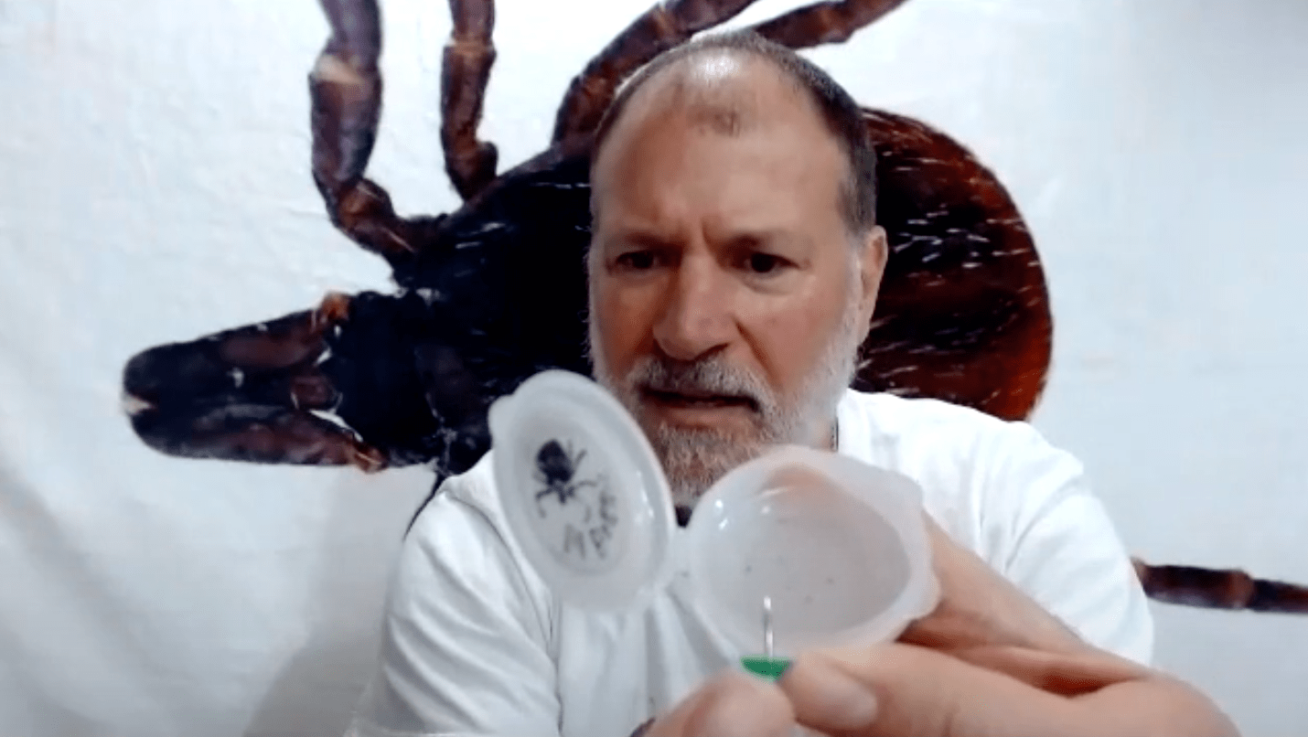 Tick-Removal-Options-with-Dan-Wolff-Founder-of-TickEase1