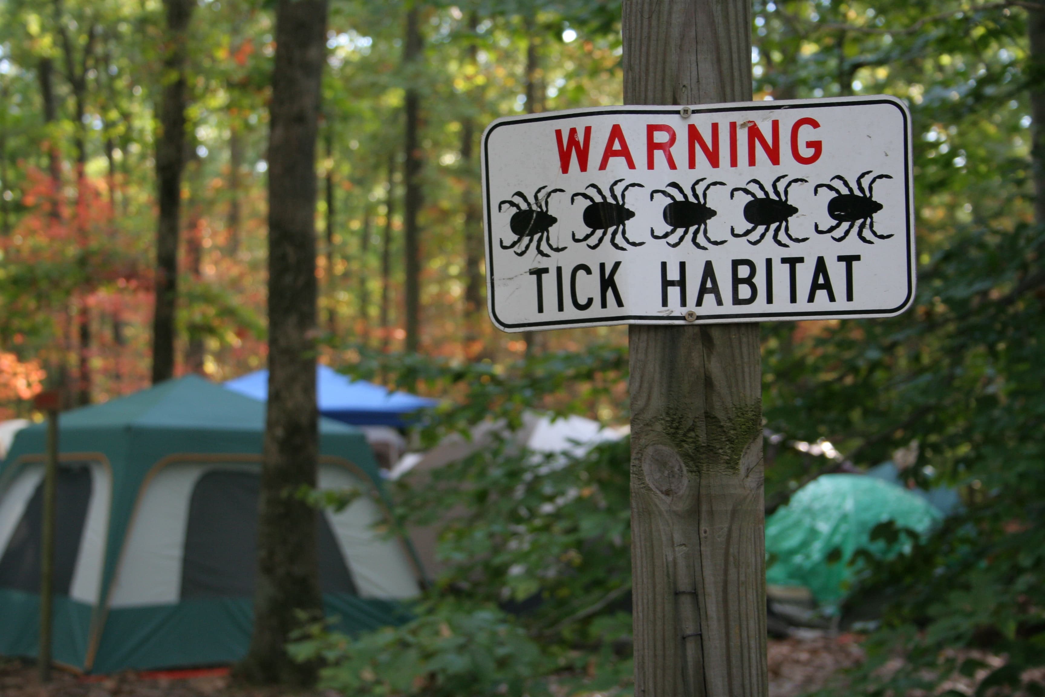 Outdoor Icon, Babe Winkelman, Guided by a Consortium of Leading Lyme Experts, Unveils his New Tick-Borne Illness Information Center in an Effort to Educate America on the Latest Tools and Prevention Tactics.