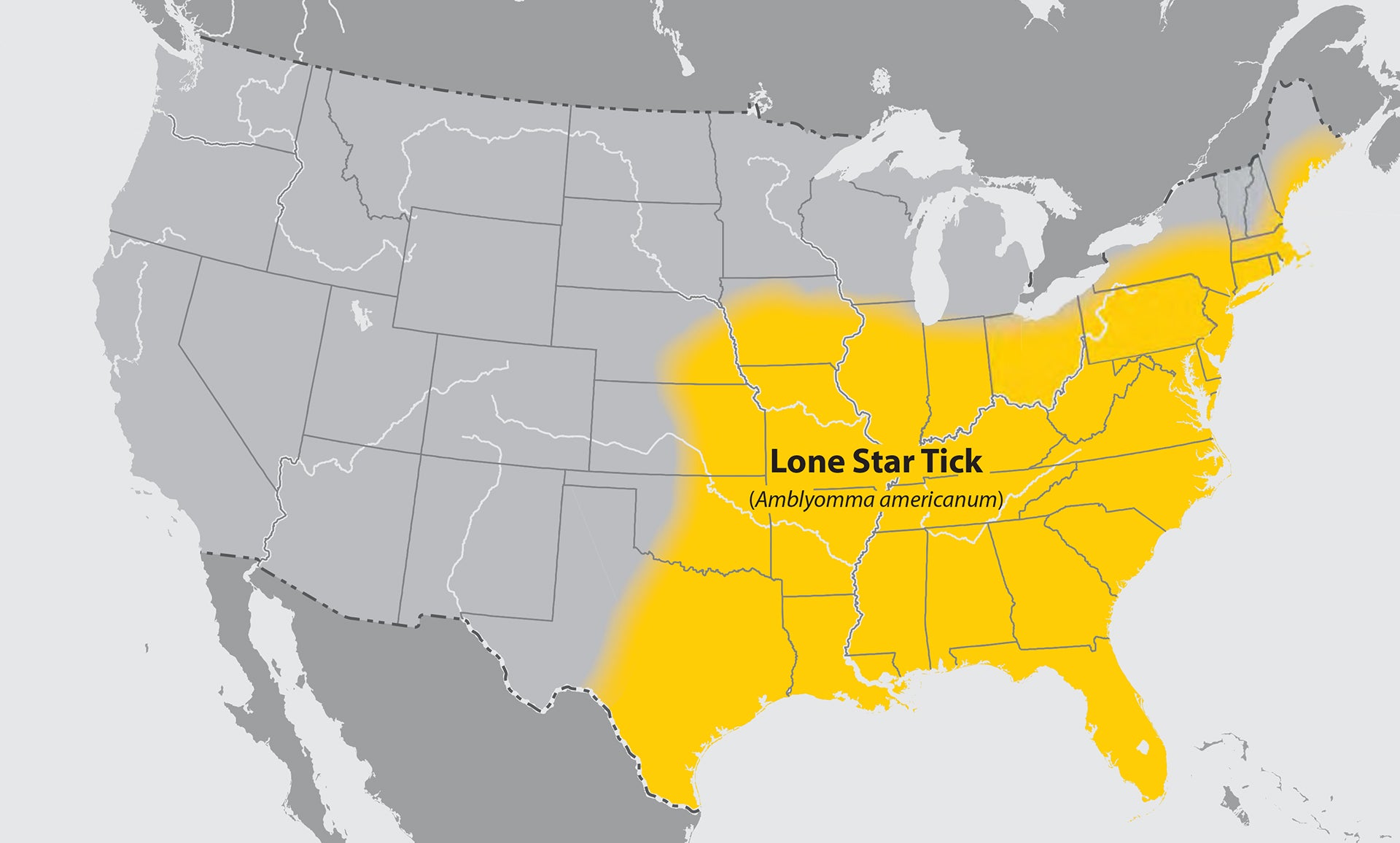 Region where Lone Star Ticks may live
