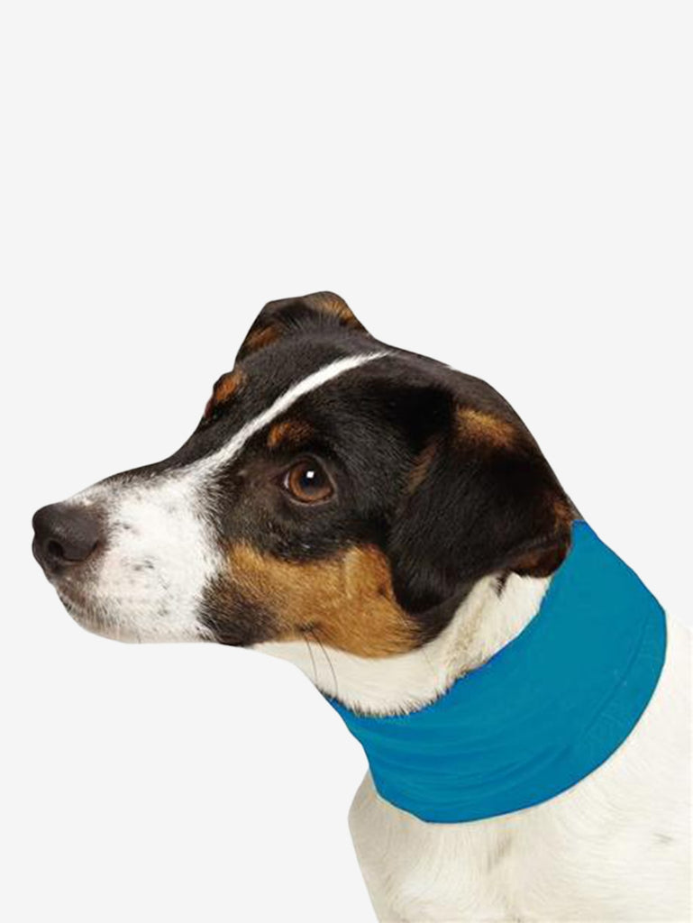 insect shield dog shirt