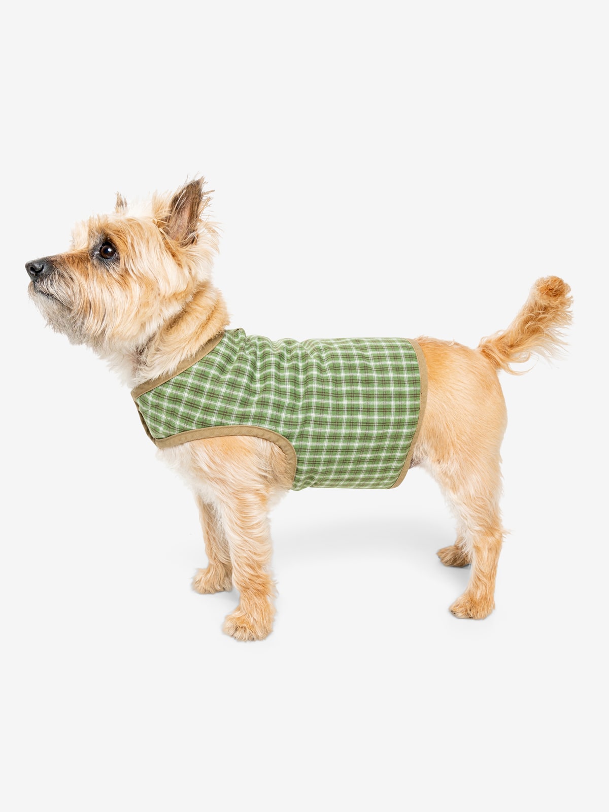 Insect Shield® Dog Clothes: Protect Against Ticks, Mosquitoes, Fleas