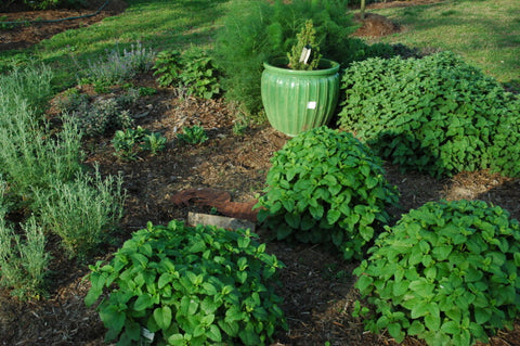 Here is a sample of an “herb garden island”, access your garden for all sides!