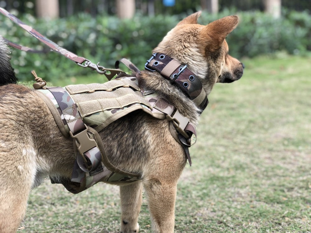 Tactical K9 Harness – LBT