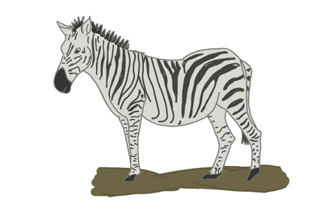 Zebra animated stories for kids bedtime stories