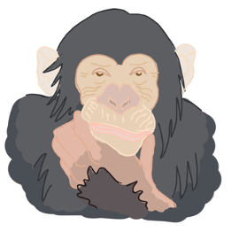 Monkey monkey MONKEY Wildlife Animated Bedtime Stories for Kids, Preschool, Kinder garden. Wildlife and Animal Kingdom.