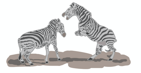 Zebra animated stories for kids bedtime stories