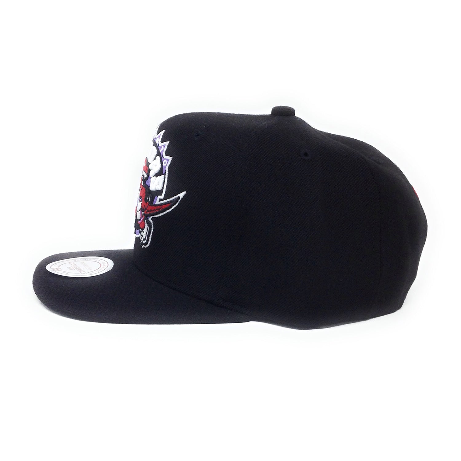 retro raptors snapback