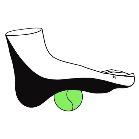 Image of foot pressing on a tennis ball to promote myofascial release