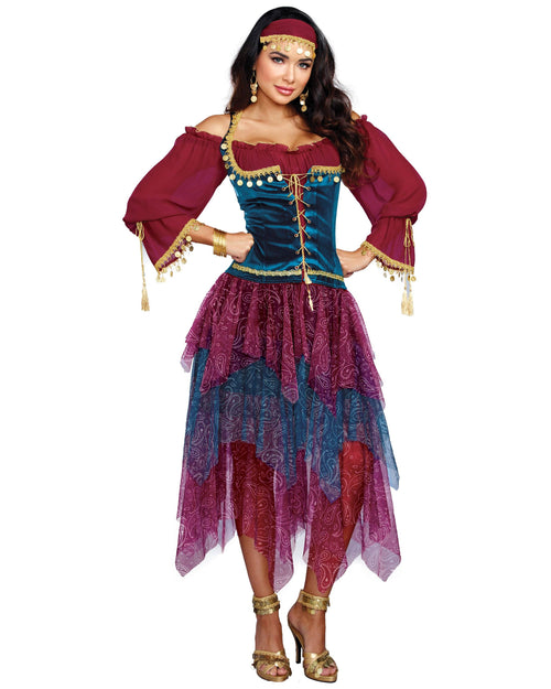 Plus Size Gypsy Costume, Plus Size Street Performer Costume 