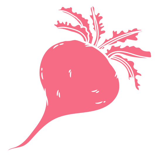 Stylized pink beet illustration with leaves.