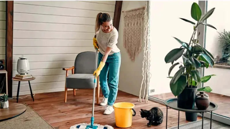5 Cleaning hacks to speed up your cleaning routines in 2023-image of spring clean-inselife.com