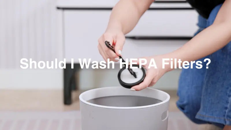 should I wash or how can I clean hepa filter-inselife.com