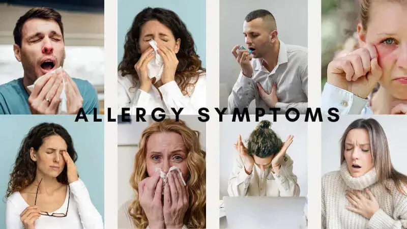 allergy symptoms-inselife.com