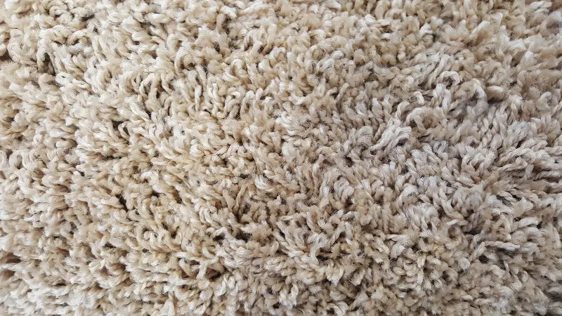 carpet material leads to easily trap pet odor