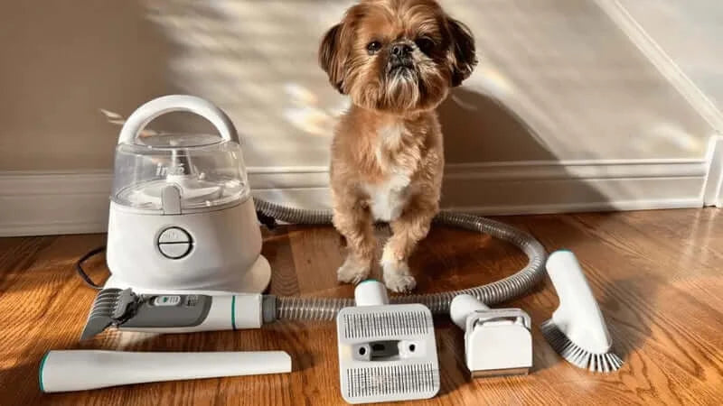 dog grooming tips with inse p20 pro-inselife.com