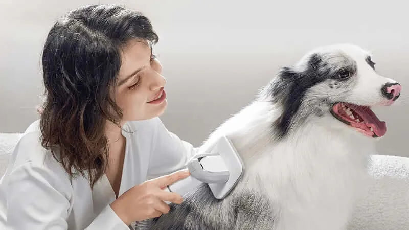 inse P20 dog grooming brush-inselife.com