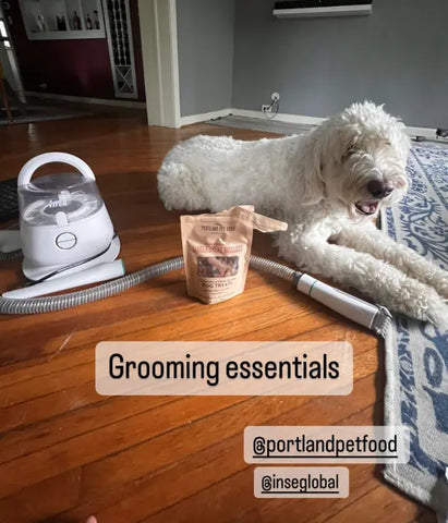 inse p20 pro pet grooming vacuum recommended by afoxandherdood