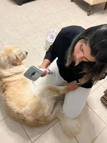 inse p20 pro pet grooming vacuum stop dog shedding excessively-inselife.com