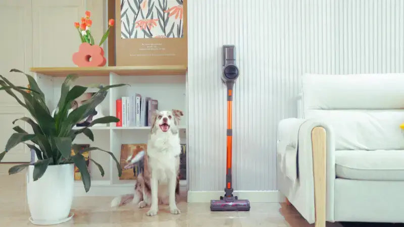 inse s10 cordlesss vacuum picks up debris from where dog lays down-inselife.com