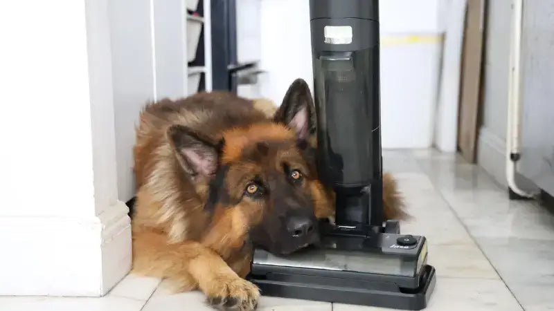 inse w5 cordless wet dry vacuum with dog-inselife.com