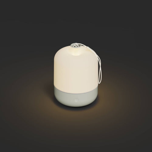 A studio photo of Acorn Lantern Putty