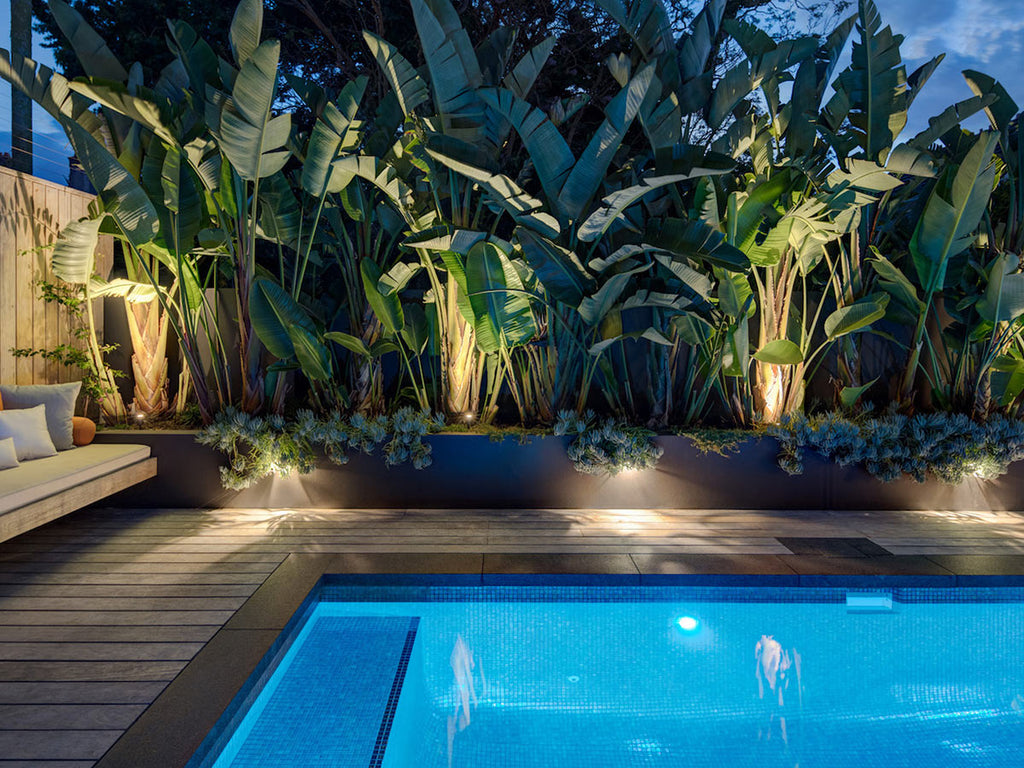 Pool and Landscape Lighting in a backyard