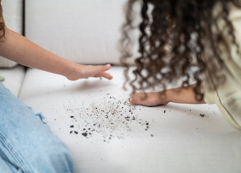 Children playing on dirty loveseat cushions