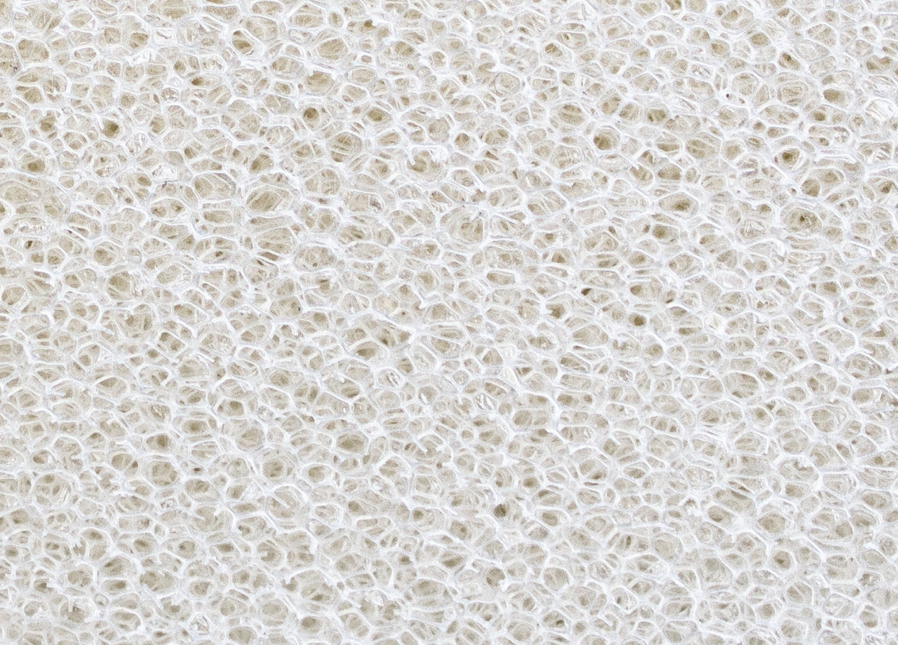 reticulated foam image