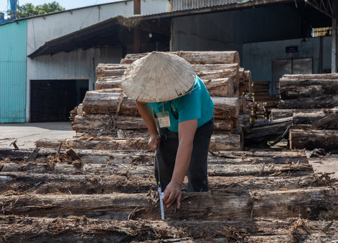 Man measuring teak tree log at factory