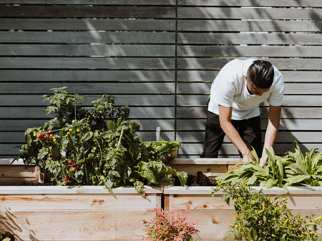 Outdoor gardening