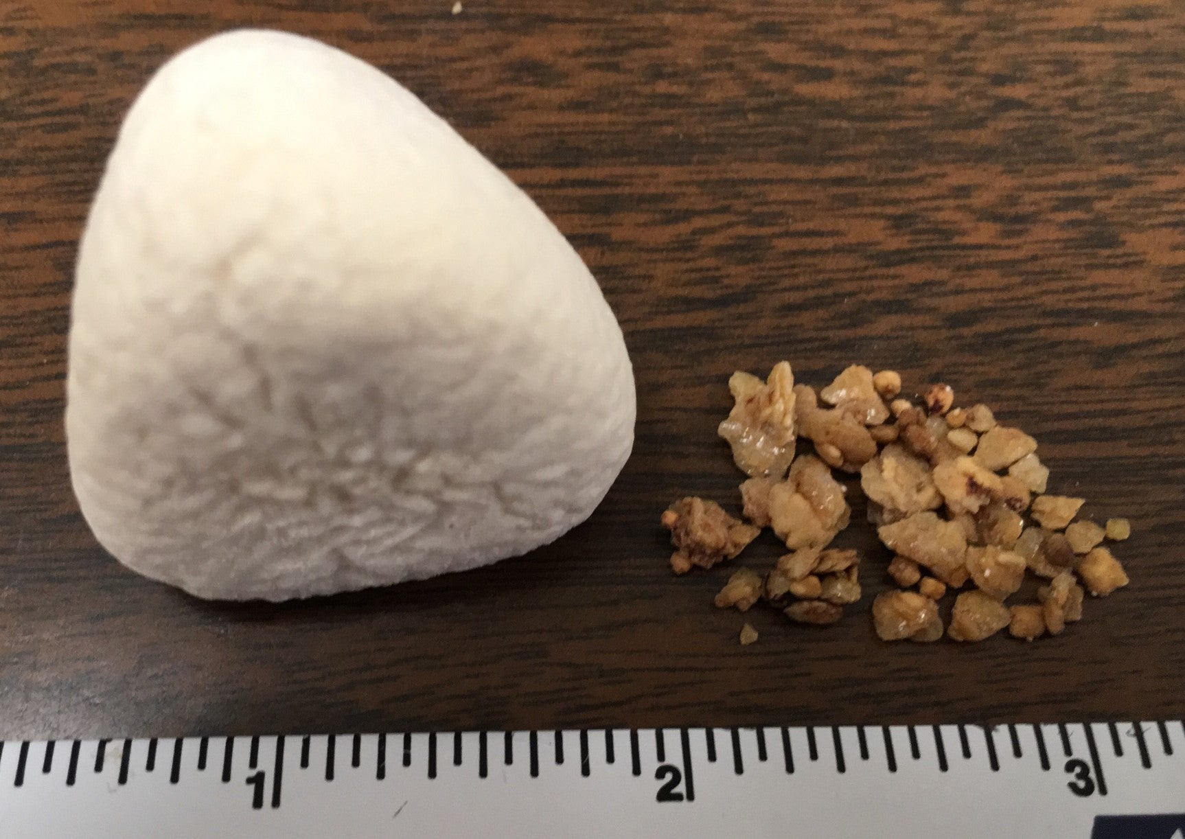 bladder stones in shih tzus