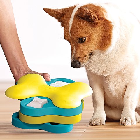 Maze Treat Dispensing Dog Toy Brain and Exercise Game for Dogs by Nina  Ottosson for sale online