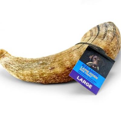 sheep horn for dogs